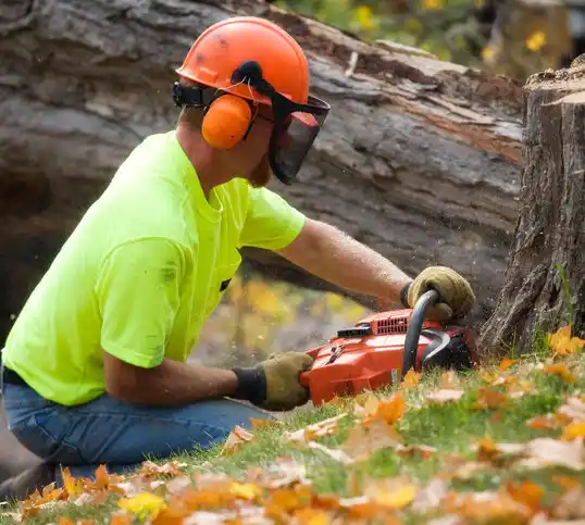 tree services Moyock